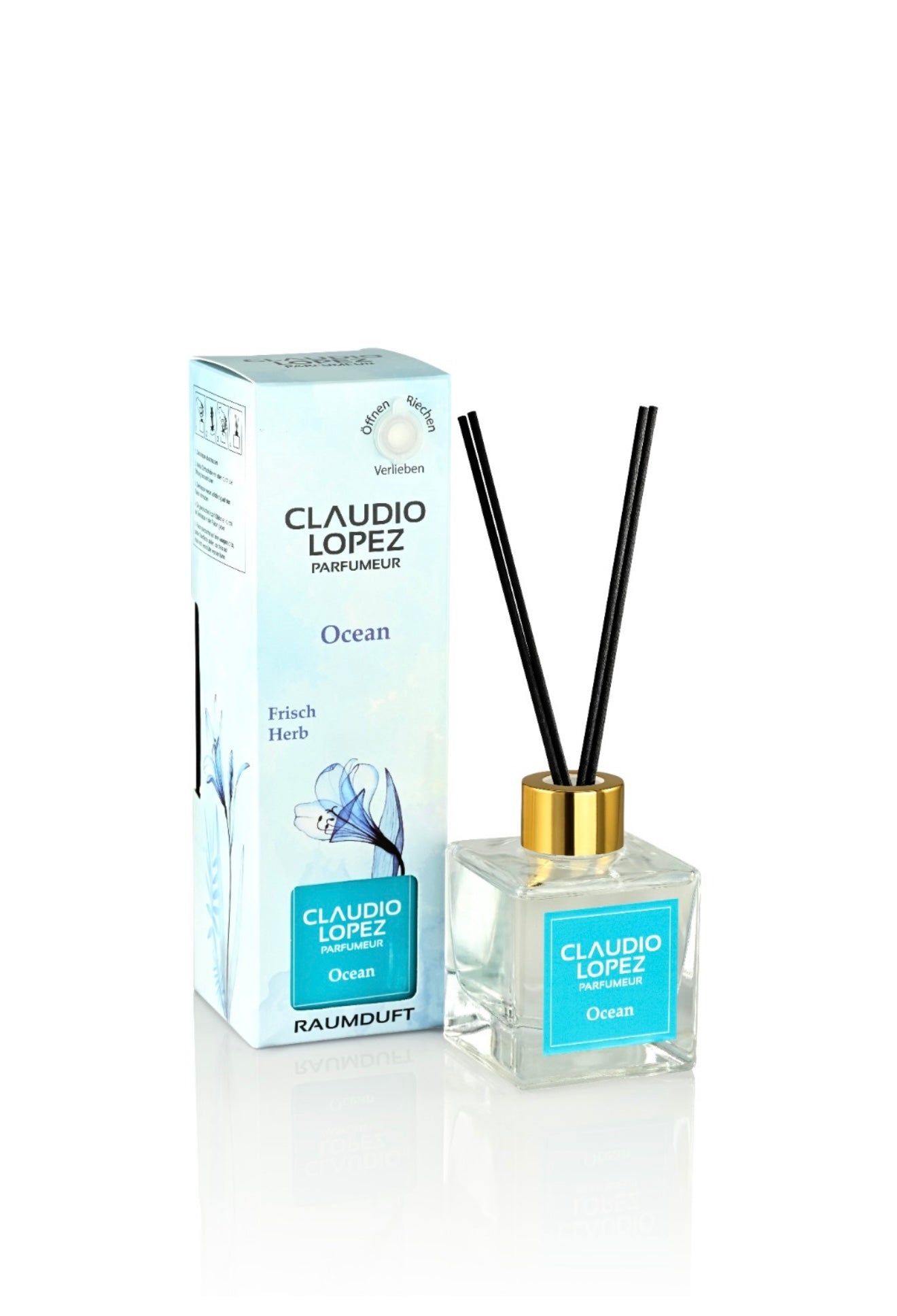 Ocean Raumduft 120ml